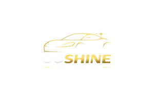 GoShine Auto Detailing Logo